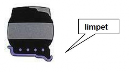 16x6-8 / Greckster Empower Limpet