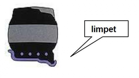18x7-8 / Greckster Empower Limpet NM