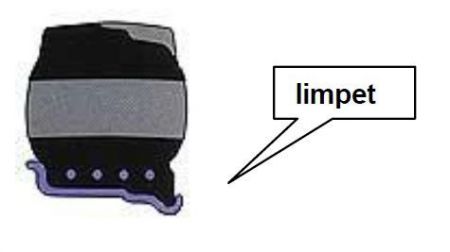 23x10-12 / Greckster Empower Limpet NM